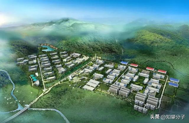 几个省级专业镇现在怎样了→米乐体育app网站肇庆这(图2)