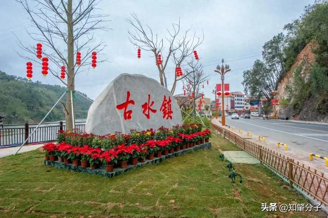 几个省级专业镇现在怎样了→米乐体育app网站肇庆这(图3)
