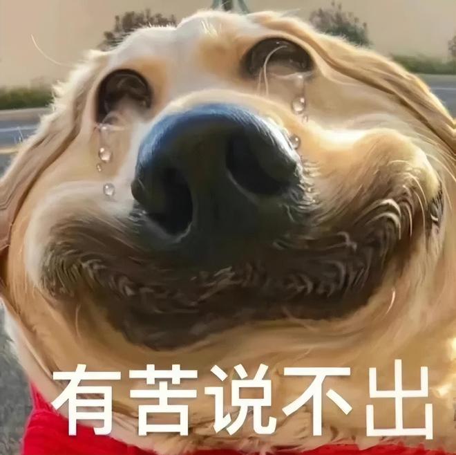 友溺爱至今？！变胖20斤还是爱豆顶流米乐m6网站她早期那几张神图竟让网(图3)