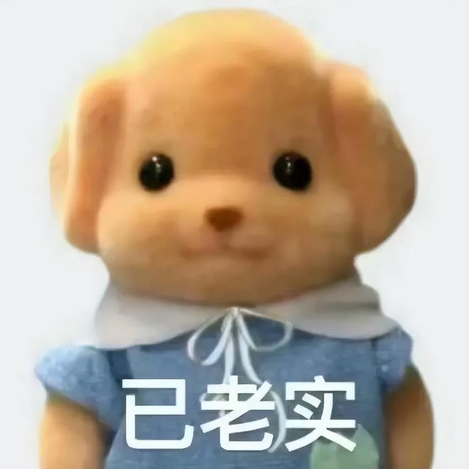 友溺爱至今？！变胖20斤还是爱豆顶流米乐m6网站她早期那几张神图竟让网(图13)