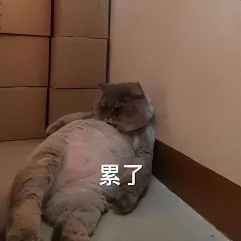 友溺爱至今？！变胖20斤还是爱豆顶流米乐m6网站她早期那几张神图竟让网(图20)