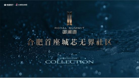 心-价格-评价如何-深入分析瑶海区伟星长城御澜道营销中(图5)